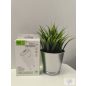 YOOUP G01 Hálózati Adapter Max2.1 A